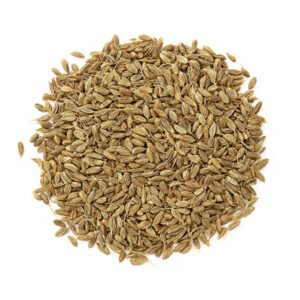 Anís en grano
